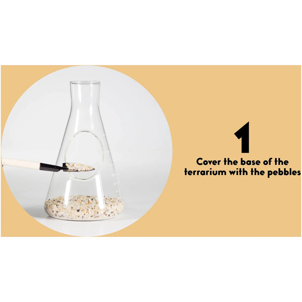 Chemistry Terrarium Kit