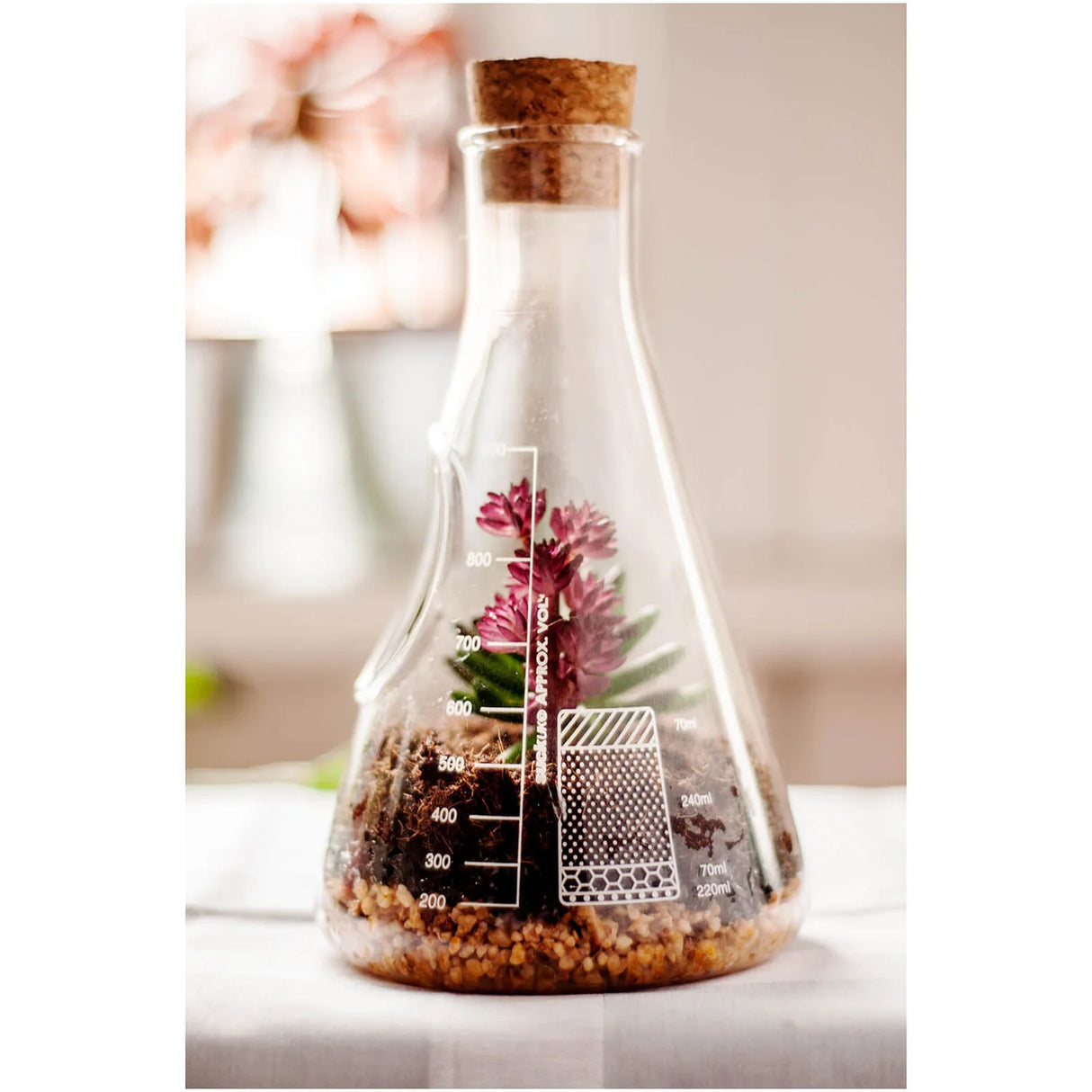 Chemistry Terrarium Kit
