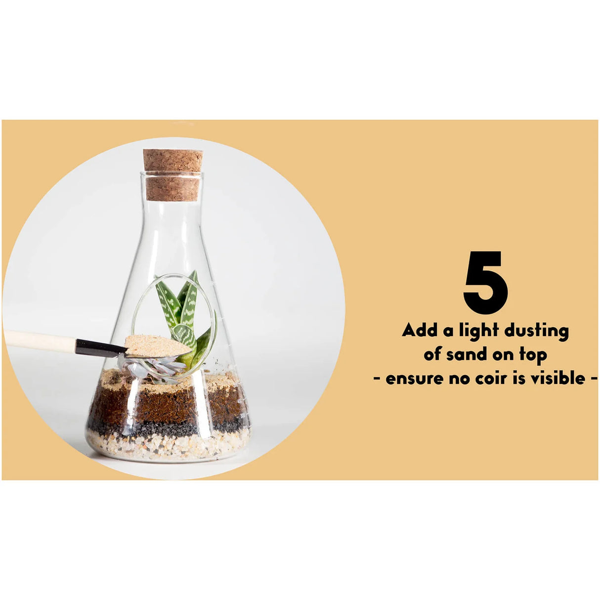 Chemistry Terrarium Kit
