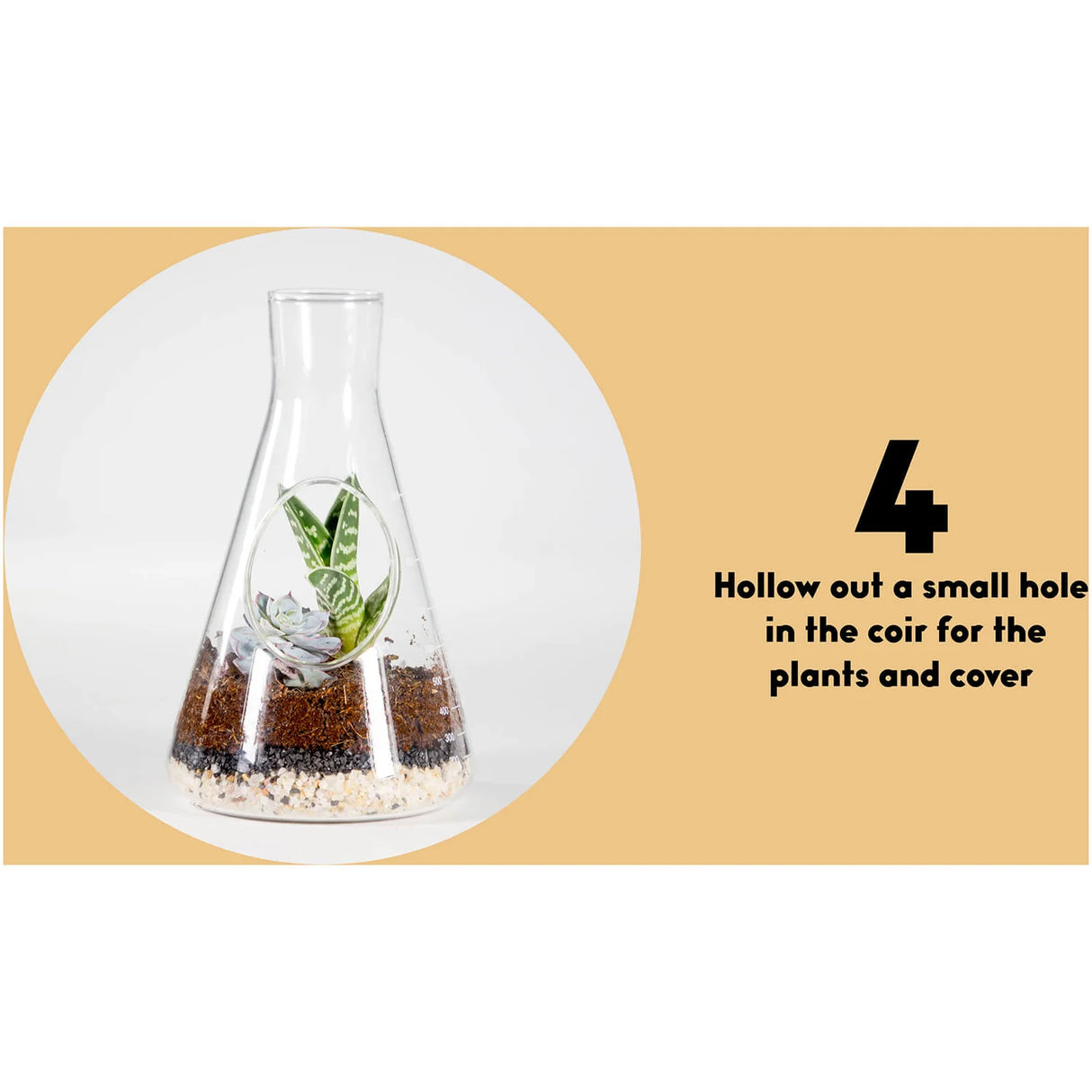 Chemistry Terrarium Kit