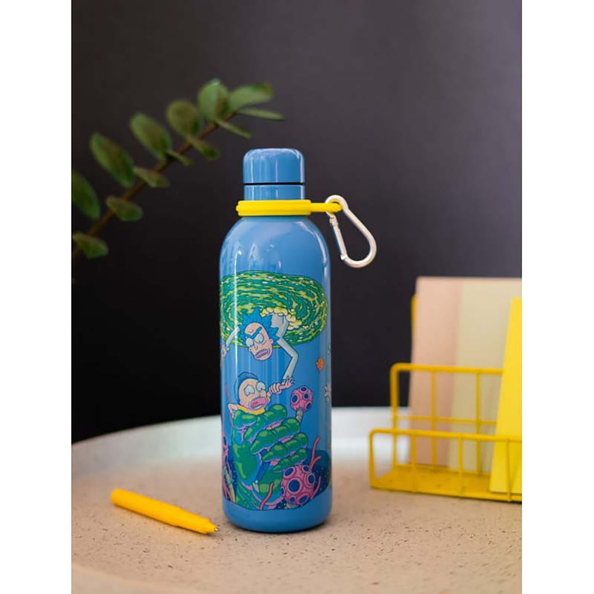 Rick Morty HotCold Metallic Bottle 500Ml