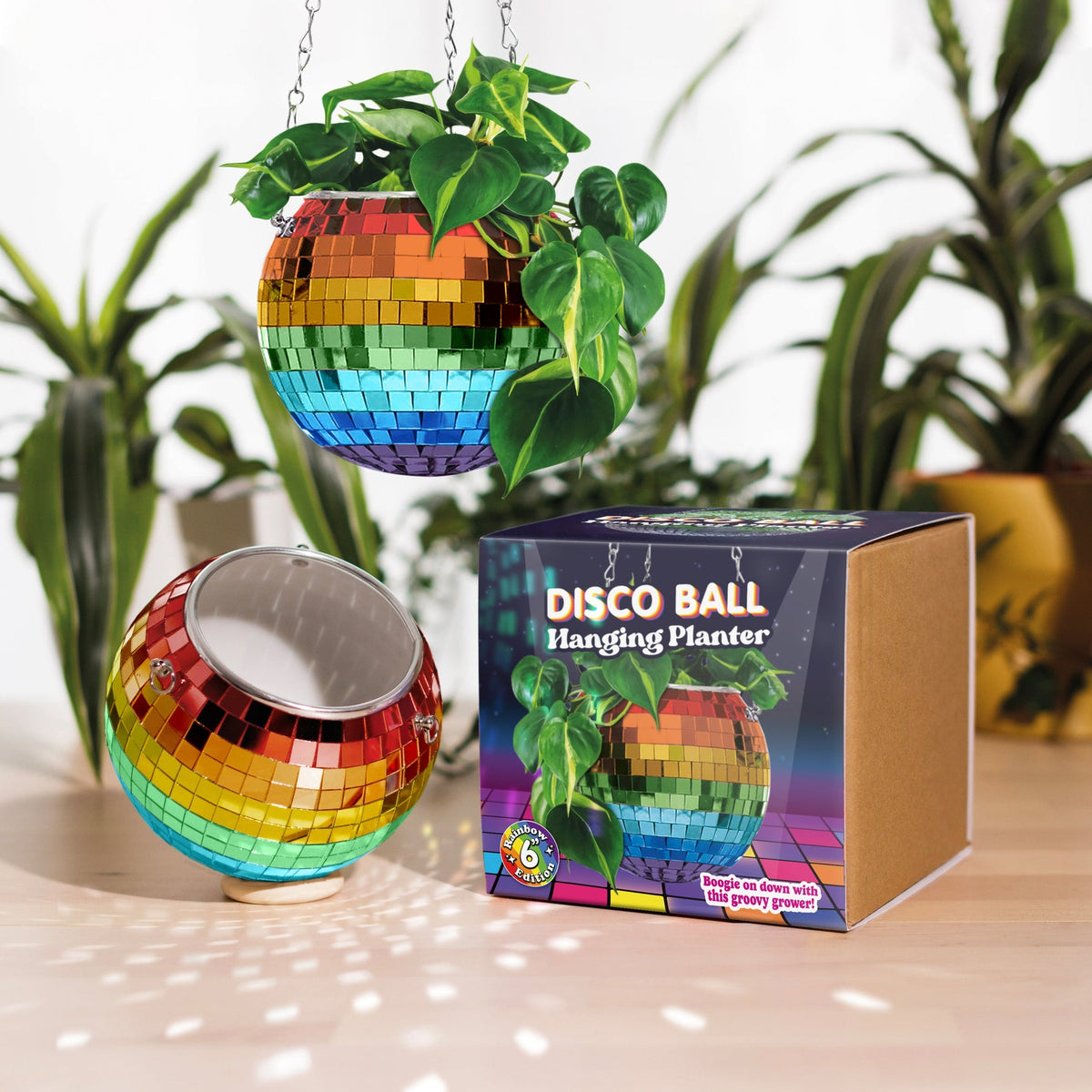 Rainbow Disco Ball Planter 8in