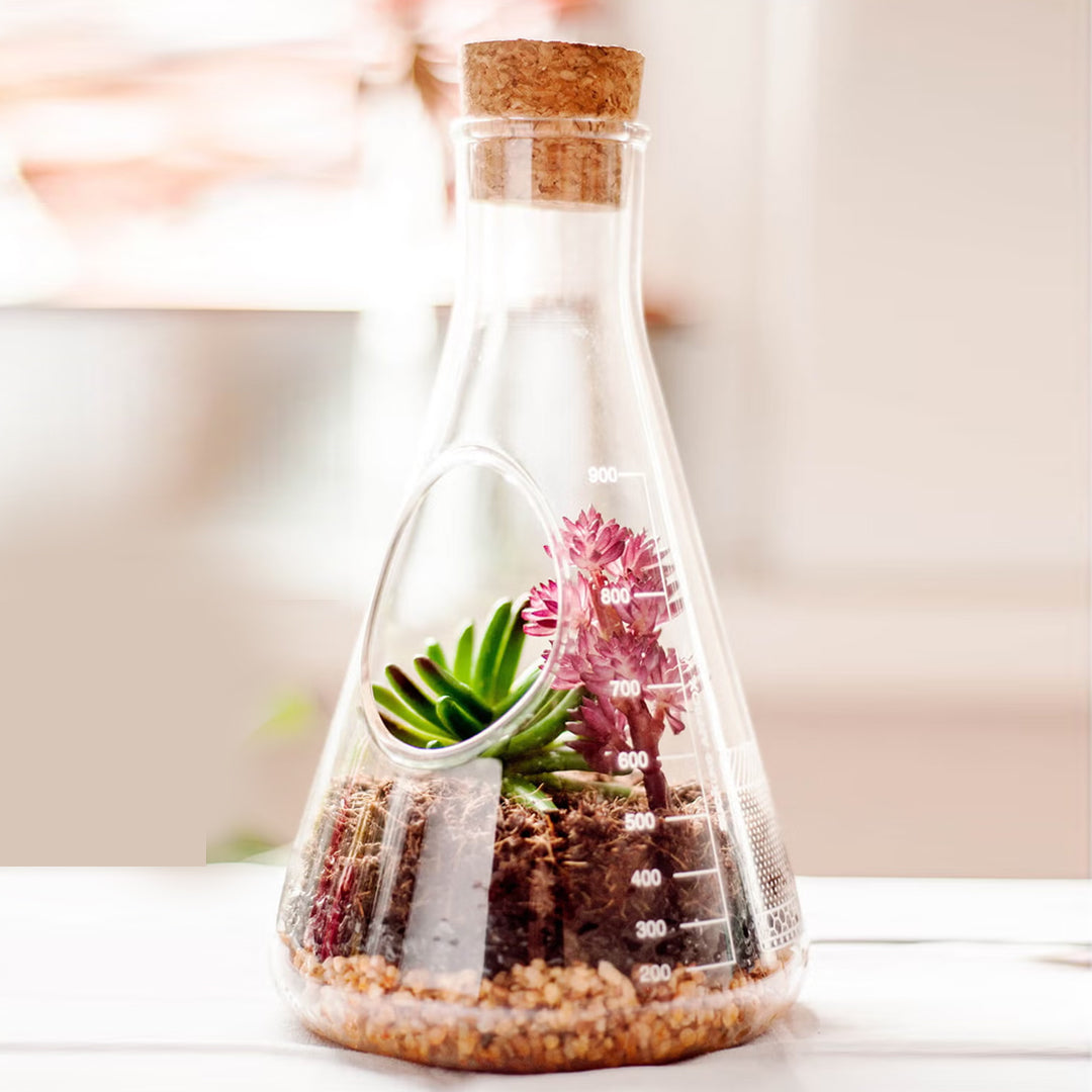 Chemistry Terrarium Kit