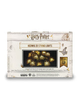 Harry Potter: Hedwig & Letter of Acceptance 2D String Lights