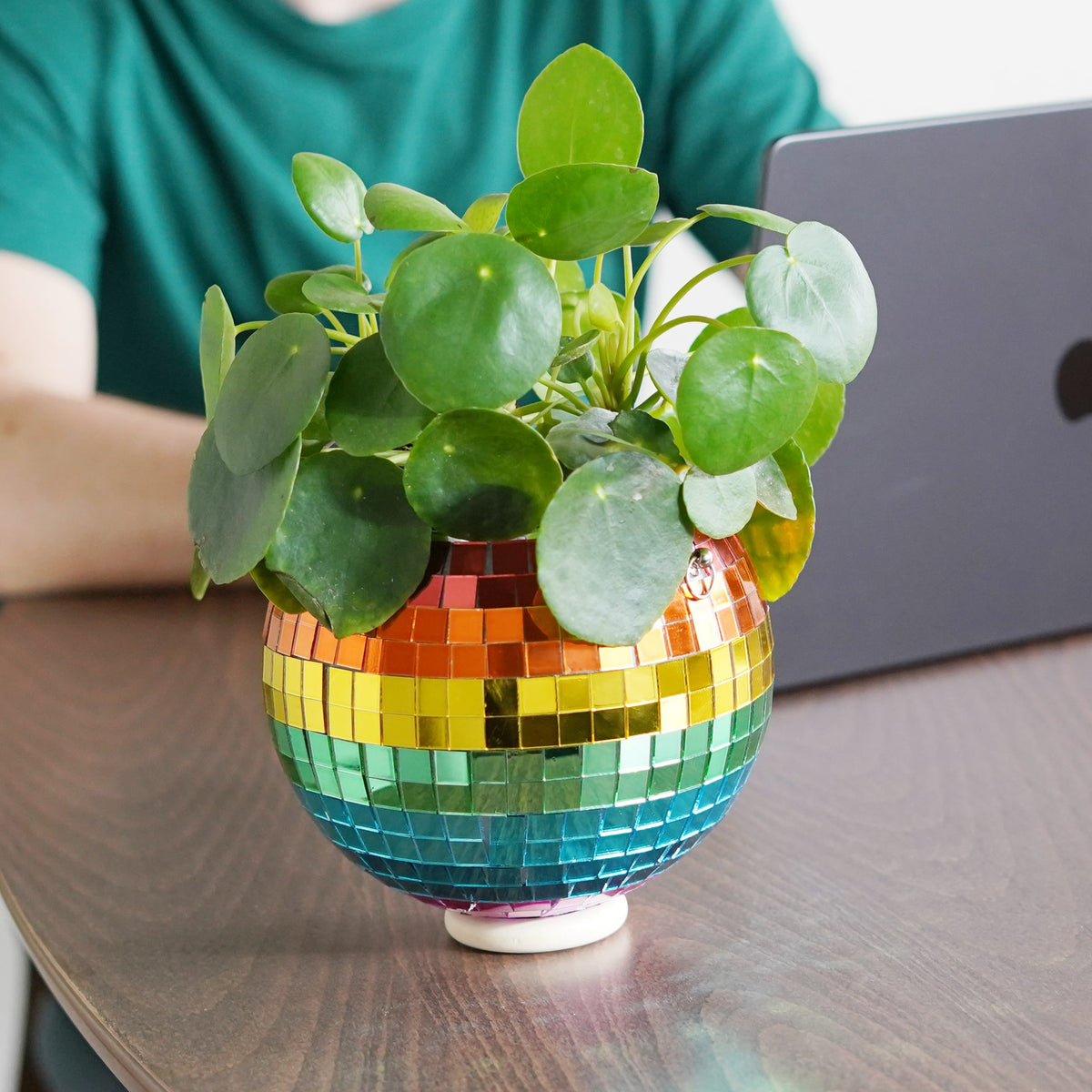 Rainbow Disco Ball Planter 8in