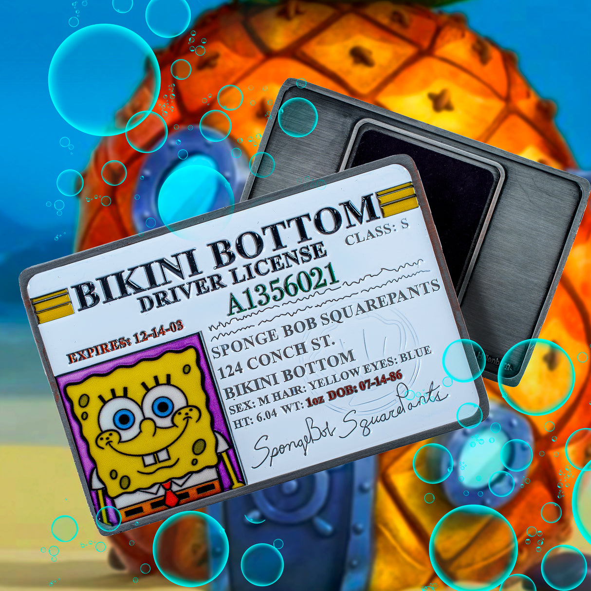 Spongebob Squarepants: Replica Driving License Magnet
