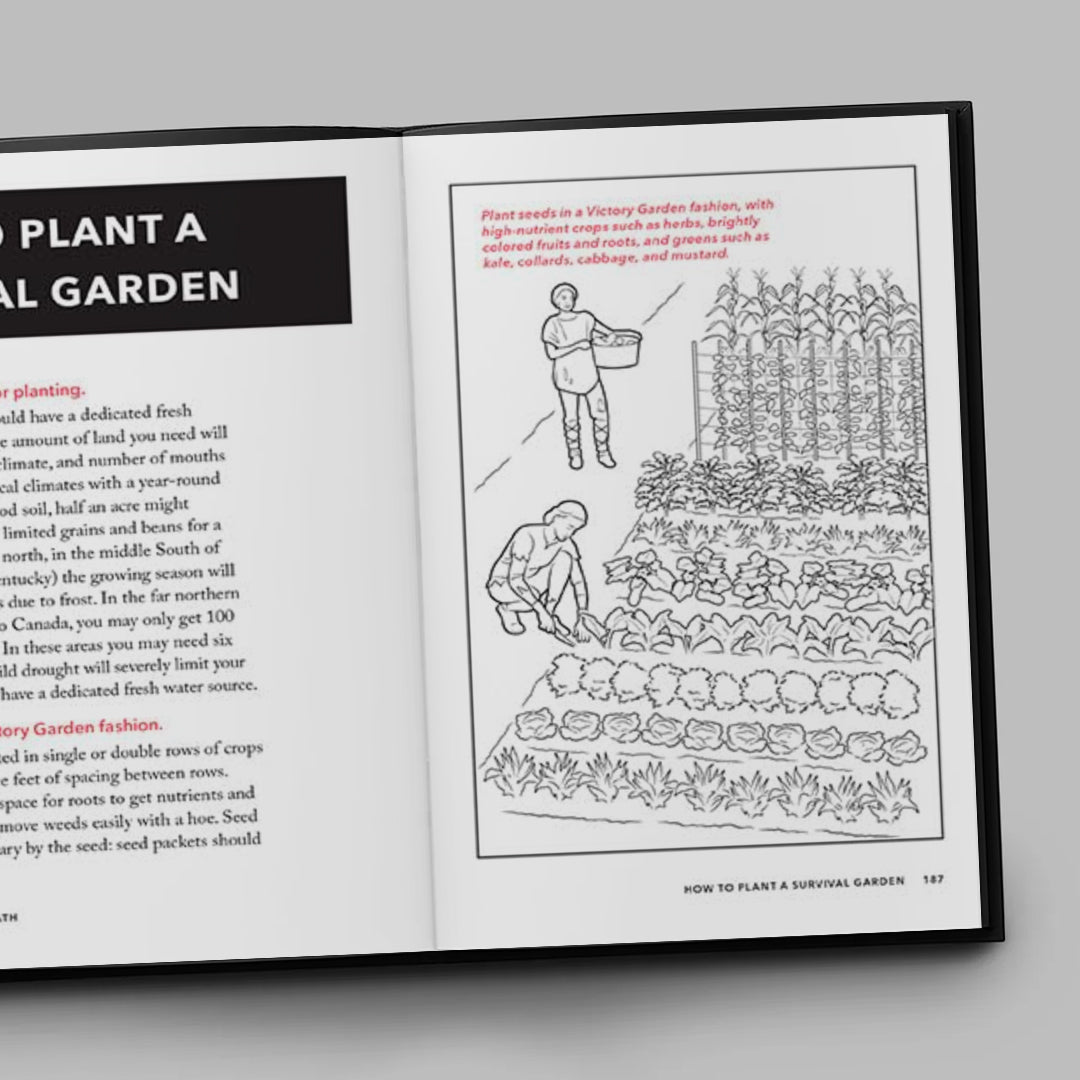 The Worst-Case Scenario Survival Handbook: Apocalypse